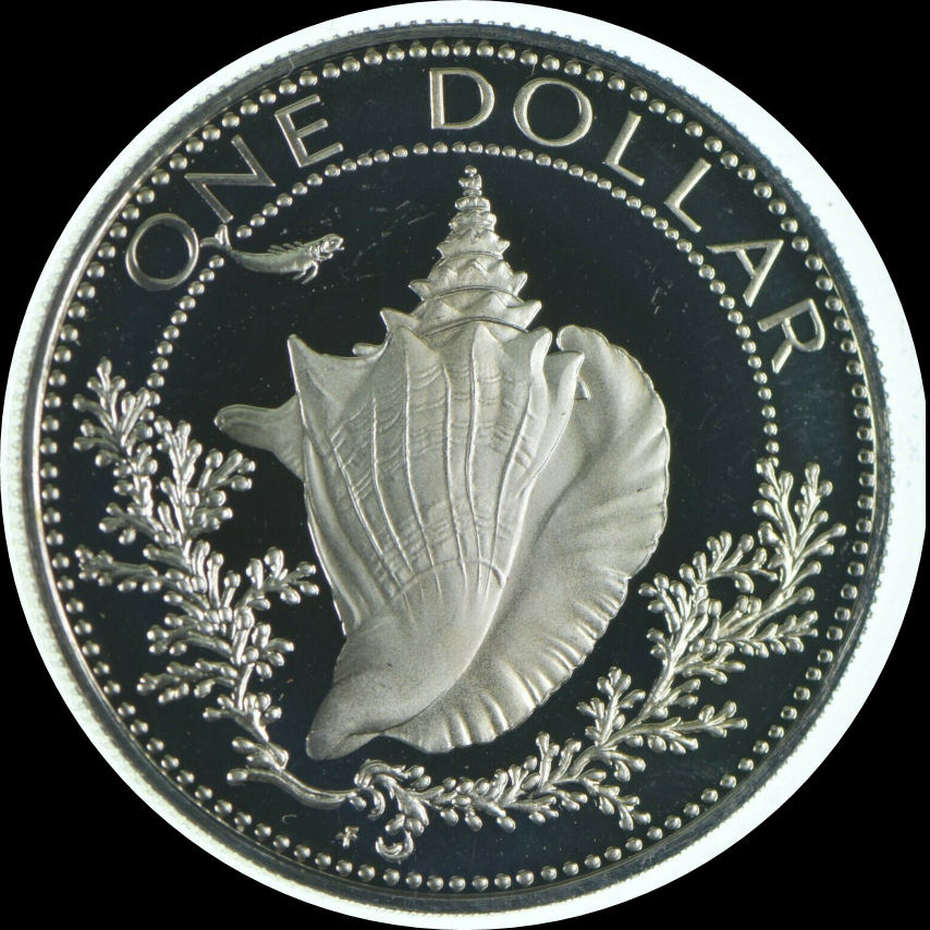 How-Can-You-Tell-If-Bahamas-$1-Coin-Is-Cn-Or-Silver?